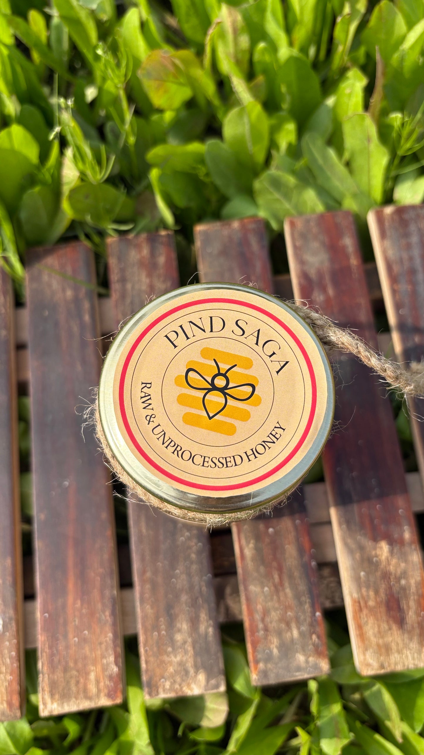 Eucalyptus Honey