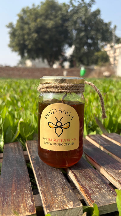 Eucalyptus Honey